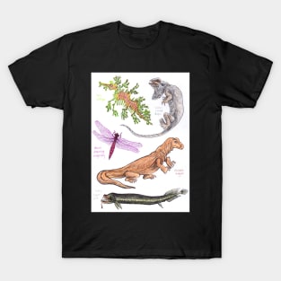 Real Life Dragons T-Shirt